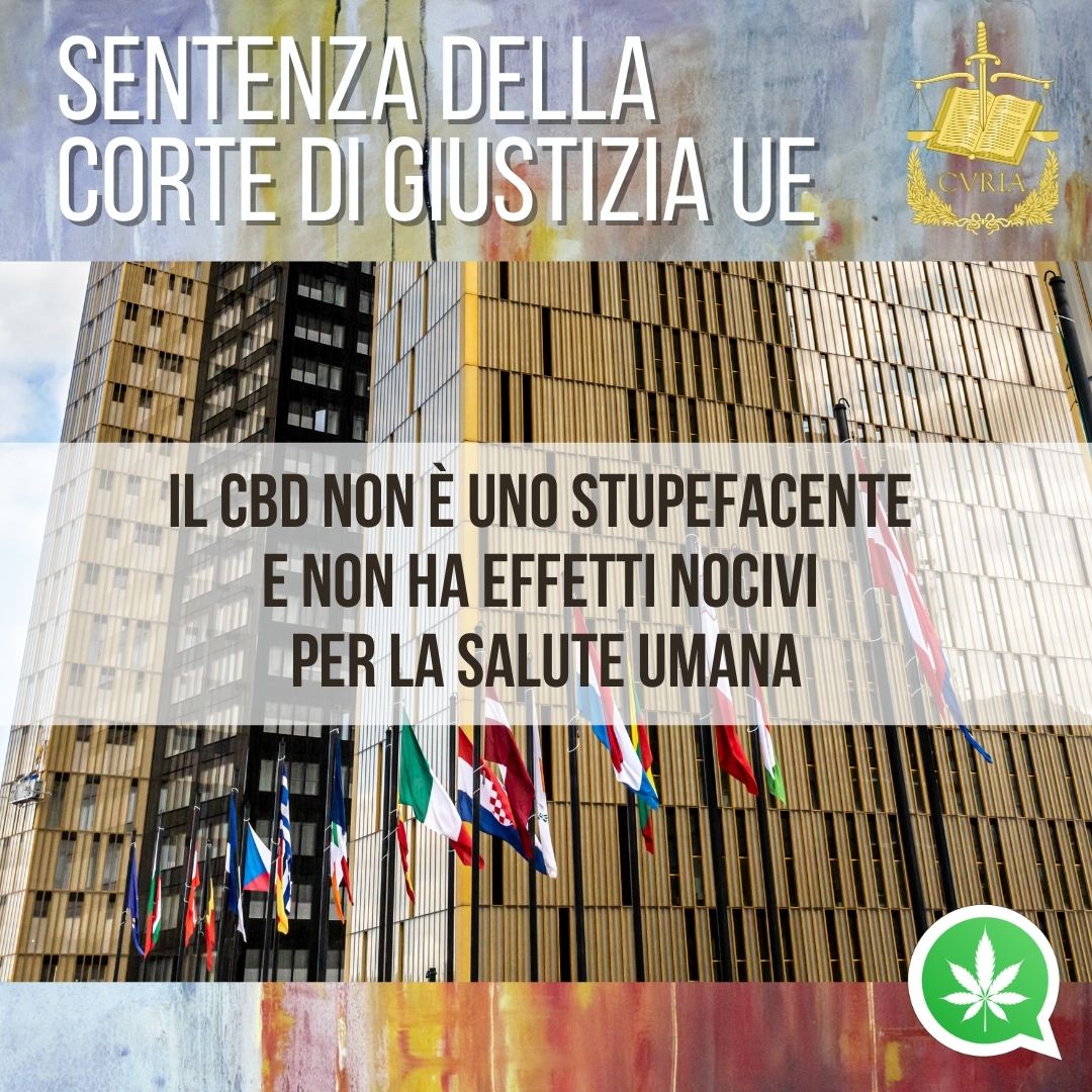 La Corte di Giustizia Ue: il CBD non è uno stupefacente e non ha effetti nocivi per la salute umana