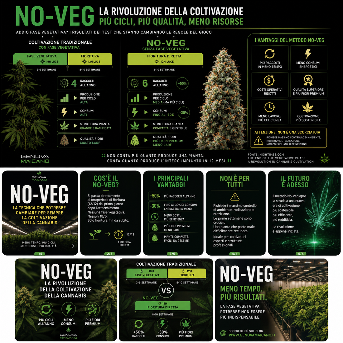 La tecnica "No-Veg" potrebbe rivoluzionare la coltivazione della cannabis