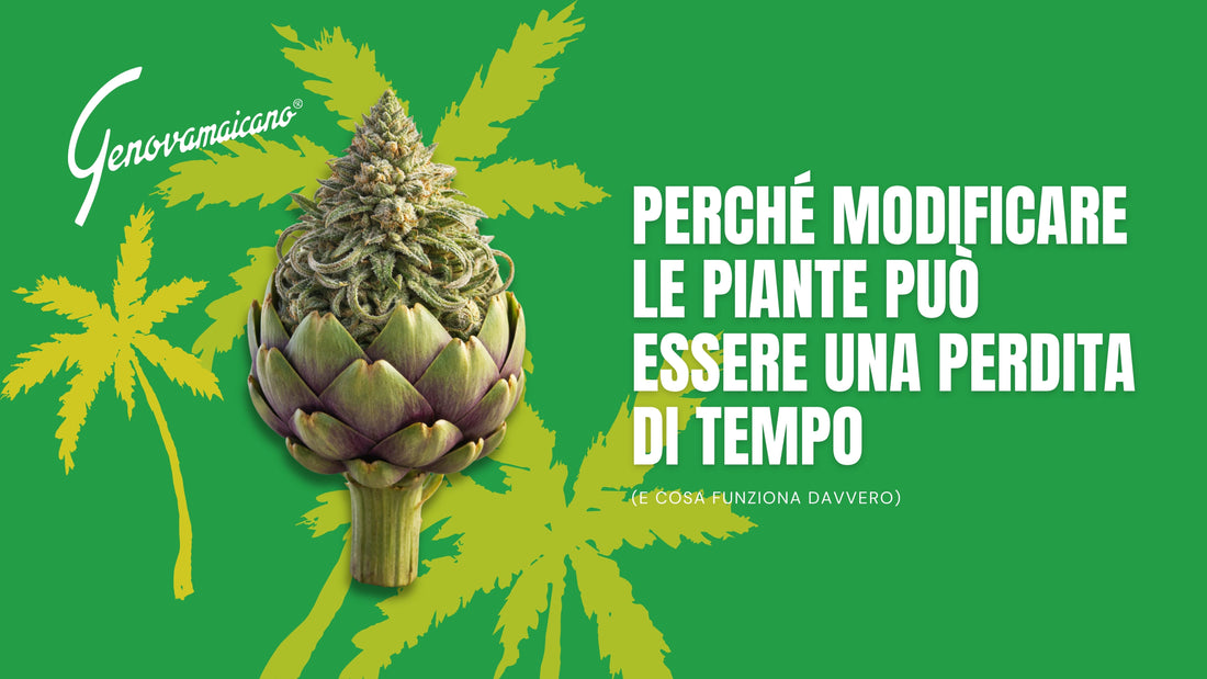 Perché modificare le piante può essere una perdita di tempo (e cosa funziona davvero)