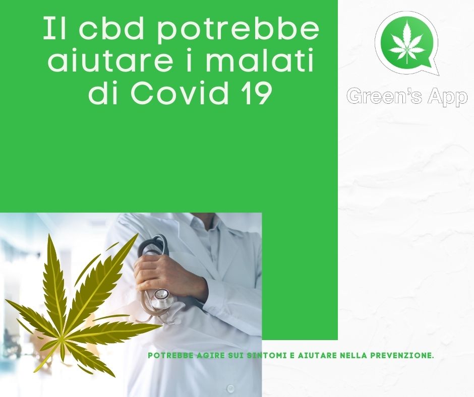 Il CBD potrebbe aiutare i malati di Covid-19