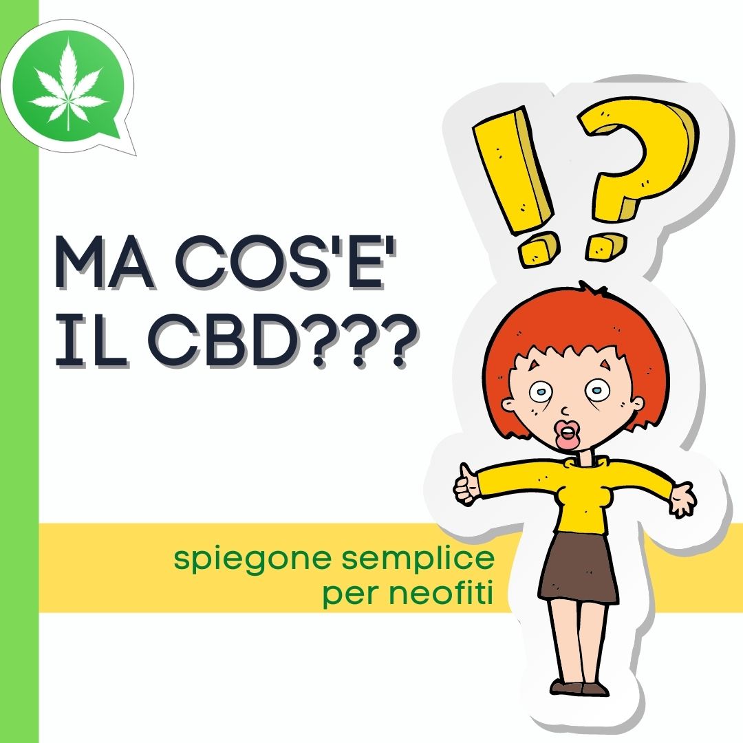 Ma cos’è il CBD? (spiegone semplice per neofiti)