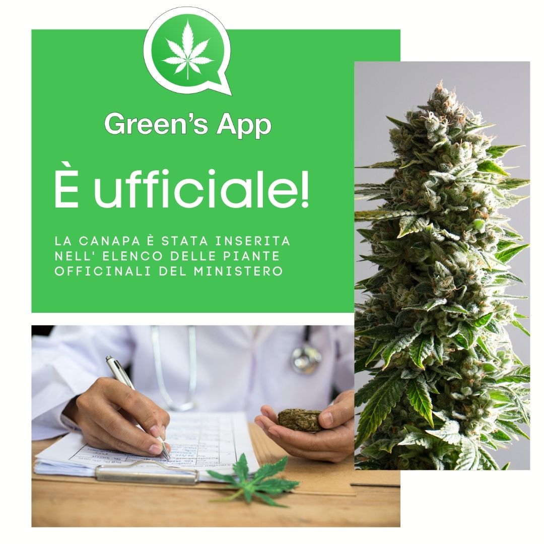 Green's App Piante Officinali Blog