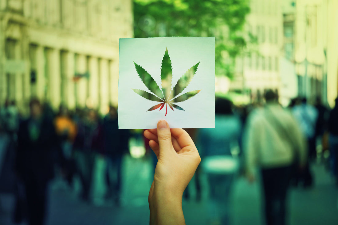 I VANTAGGI DI PHENOPEN RISPETTO AD ALTRI DISPOSITIVI DI VAPORIZZAZIONE CBD