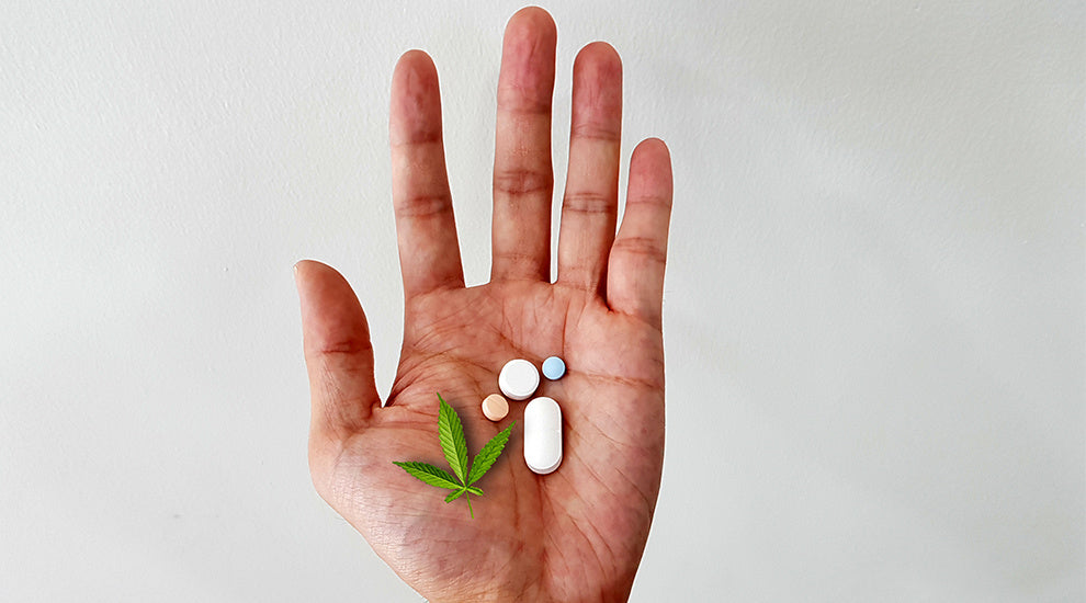 CBD e FARMACI come interagiscono?