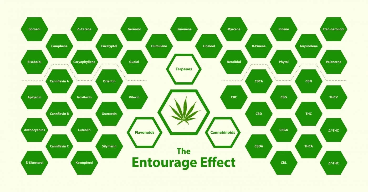 L' EFFETTO ENTOURAGE - L'INSIEME DEI PRINCIPI ATTIVI PER UNO SPETTRO COMPLETO (FULL SPECTRUM)