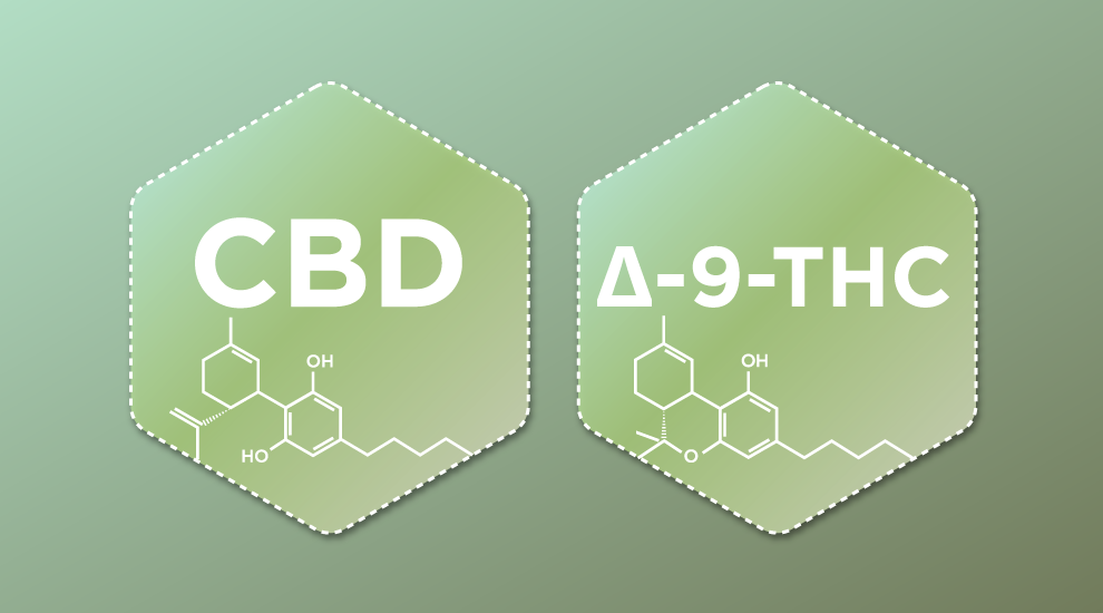 I CANNABINOIDI: principali e minori