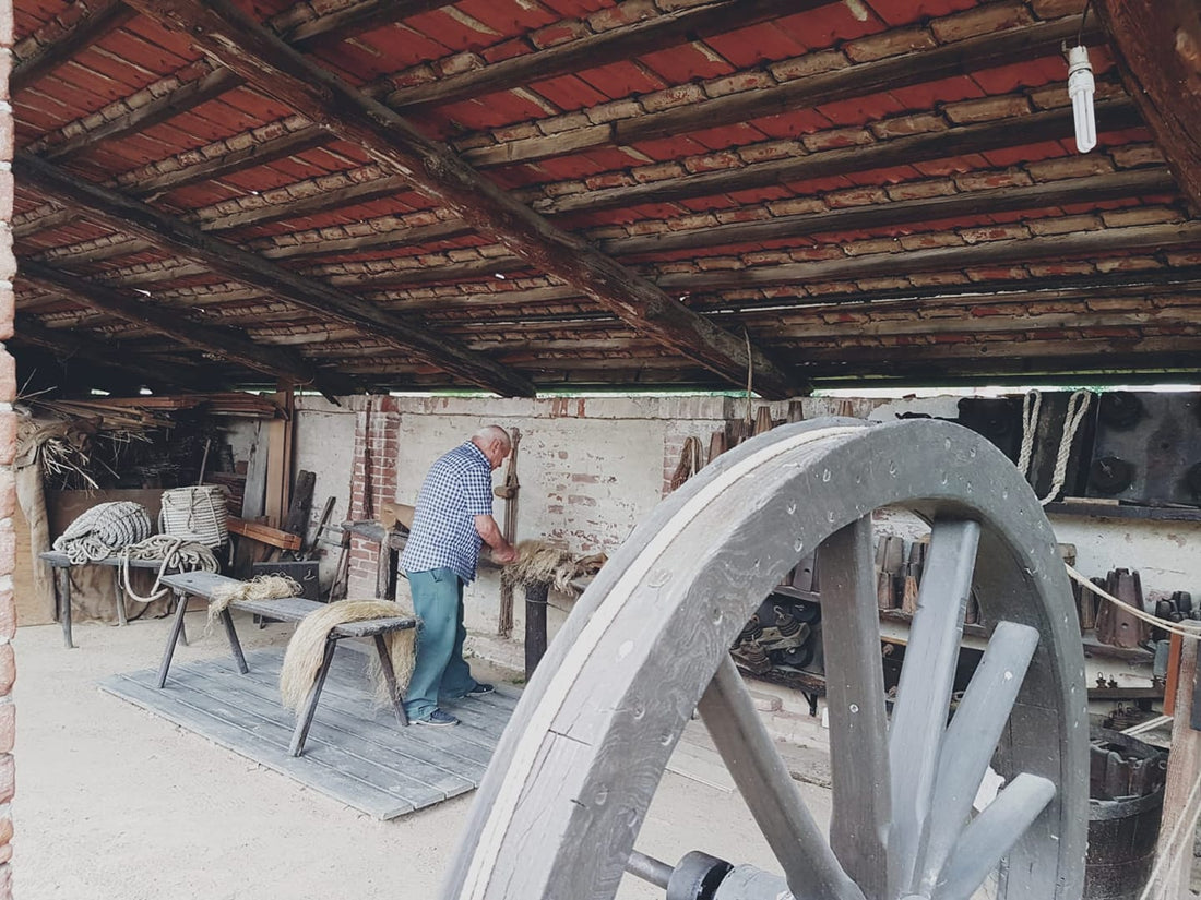 Carmagnola: l’ecomuseo della canapa diventa multimediale