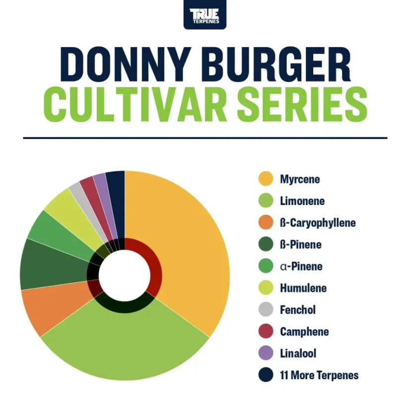 TRUE TERPENES terpeni DONNY BURGER