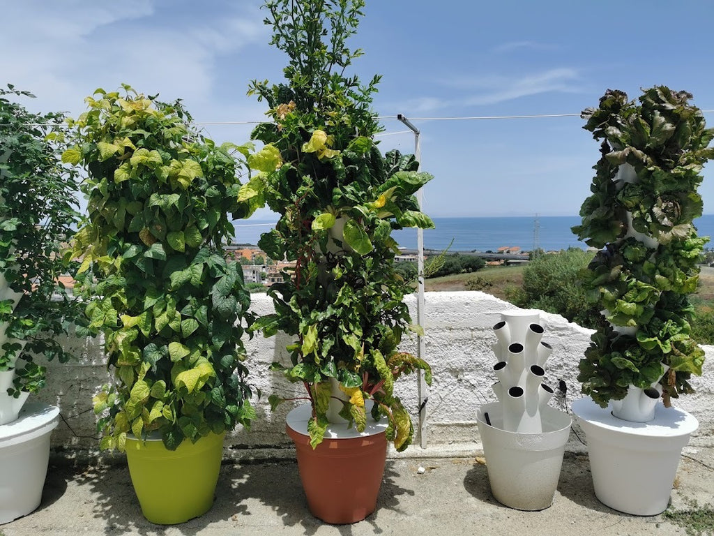 TORRE EOLIANA il tuo orto verticale idroponico indoor outdoor greenhouse