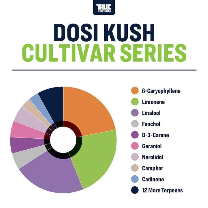 TRUE TERPENES terpeni DOSI KUSH