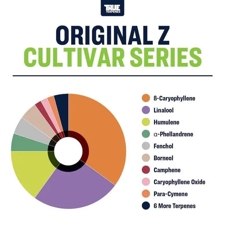 TRUE TERPENES terpeni ORIGINAL Z