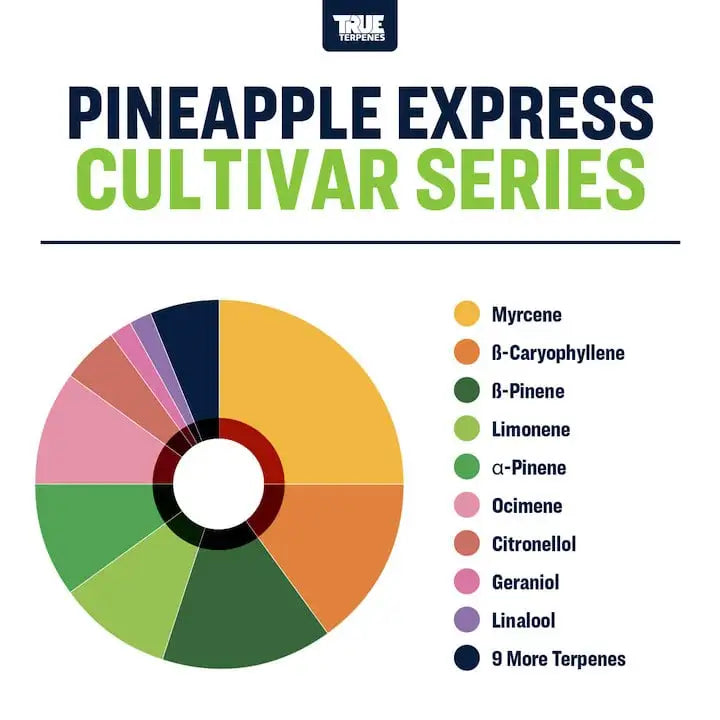 TRUE TERPENES terpeni PINEAPPLE EXPRESS