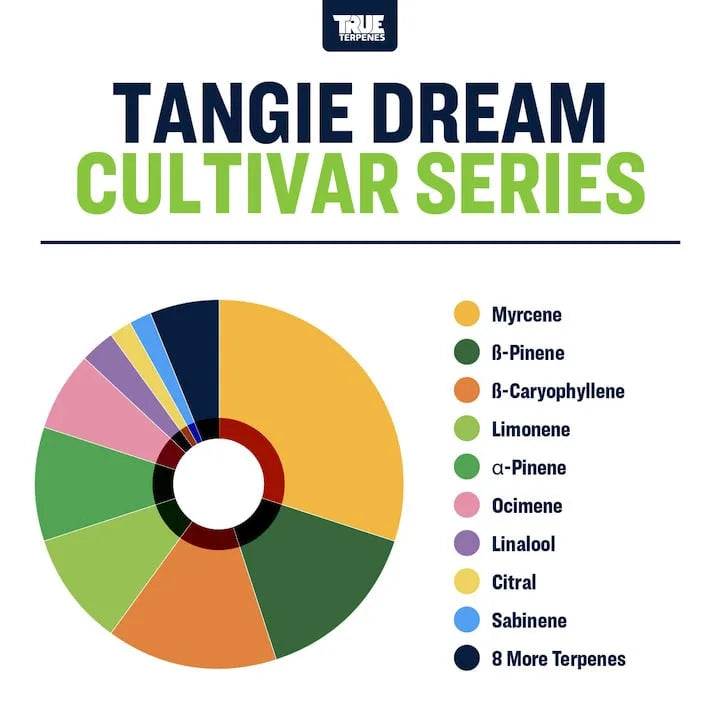 TRUE TERPENES terpeni  TANGIE DREAM