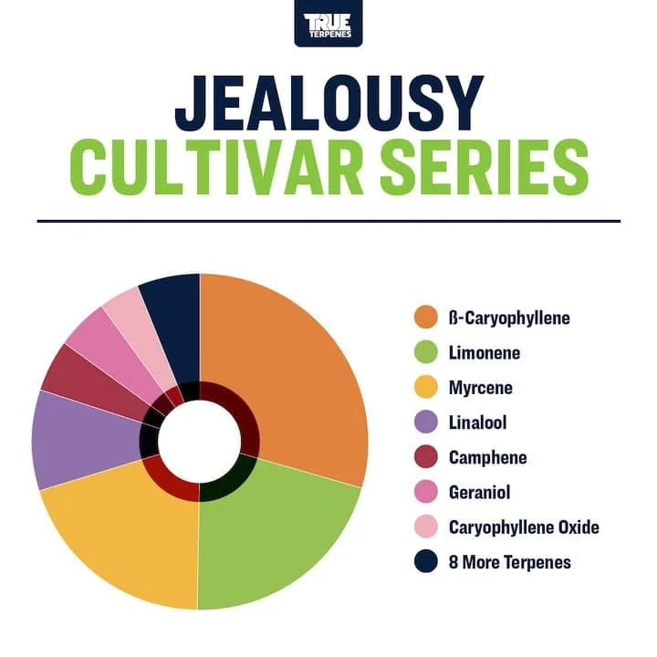 TRUE TERPENES terpeni JEALOUSY