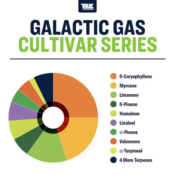 TRUE TERPENES terpeni GALACTIC GAS