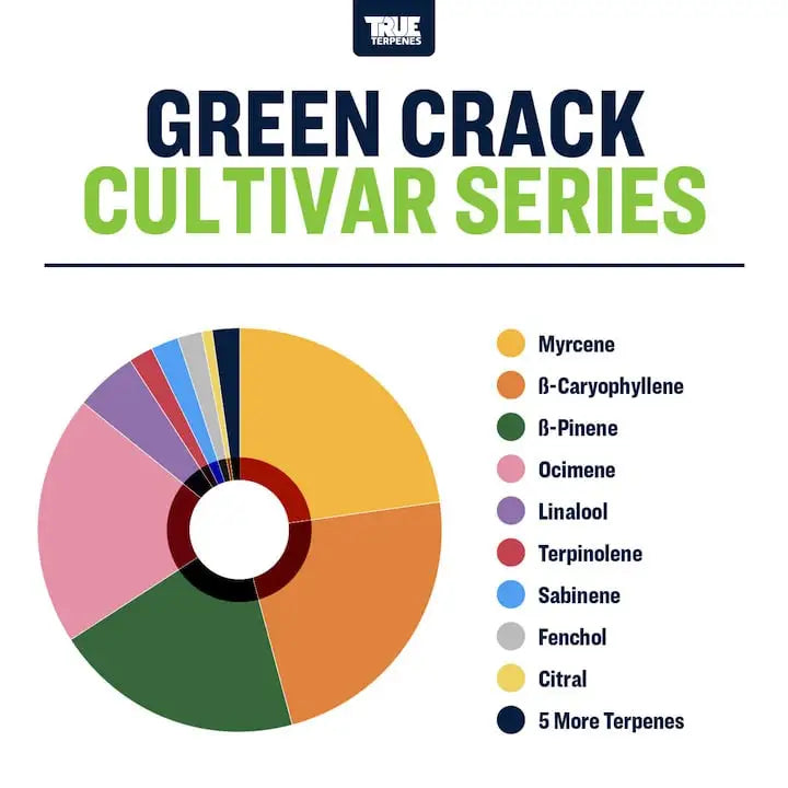 TRUE TERPENES terpeni GREEN CRACK