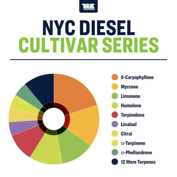 TRUE TERPENES terpeni  NYC DIESEL