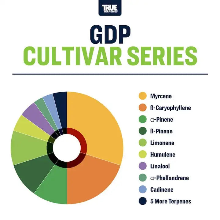 TRUE TERPENES terpeni GDP