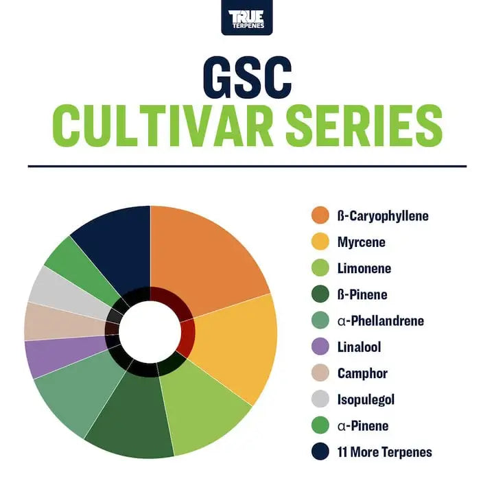 TRUE TERPENES terpeni GSC