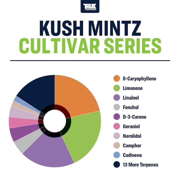 TRUE TERPENES terpeni KUSH MINTZ