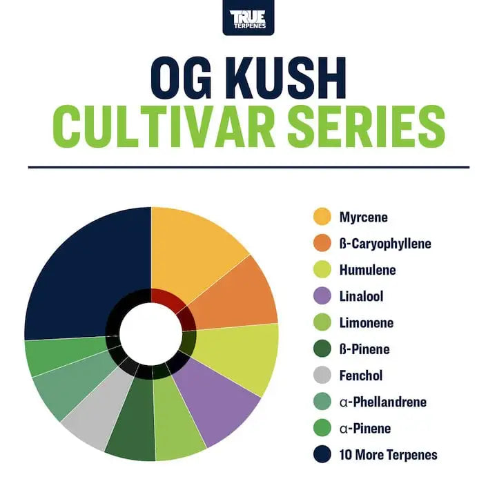 TRUE TERPENES terpeni  OG KUSH
