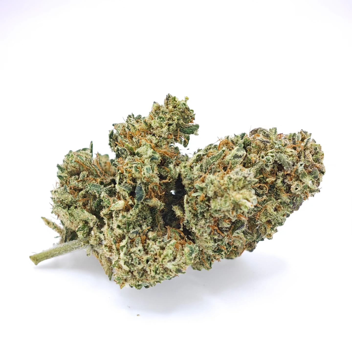 ALIEN PIE indoor by Zambros Farm