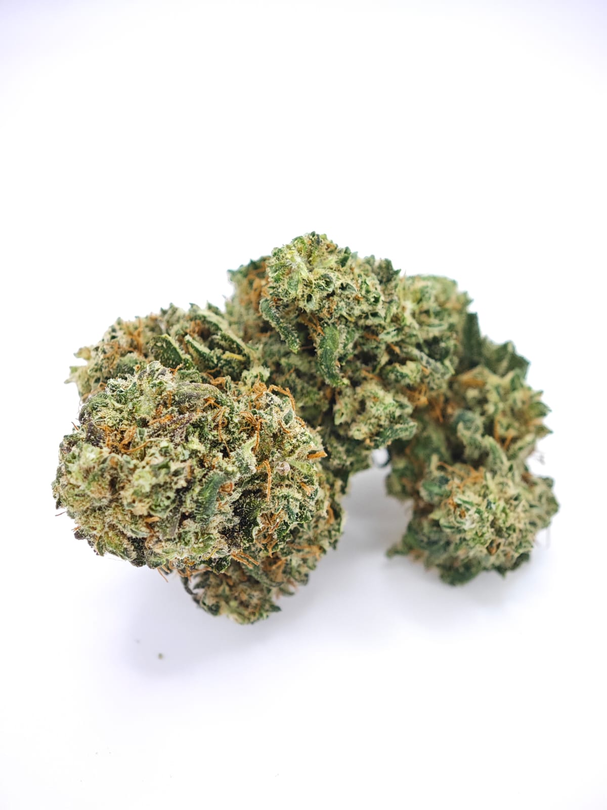 ALIEN PIE indoor by Zambros Farm