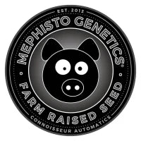 MEPHISTO GENETICS autofiorente Artisanals 4 ASSED MONKEY 3 semi + 2 semi free