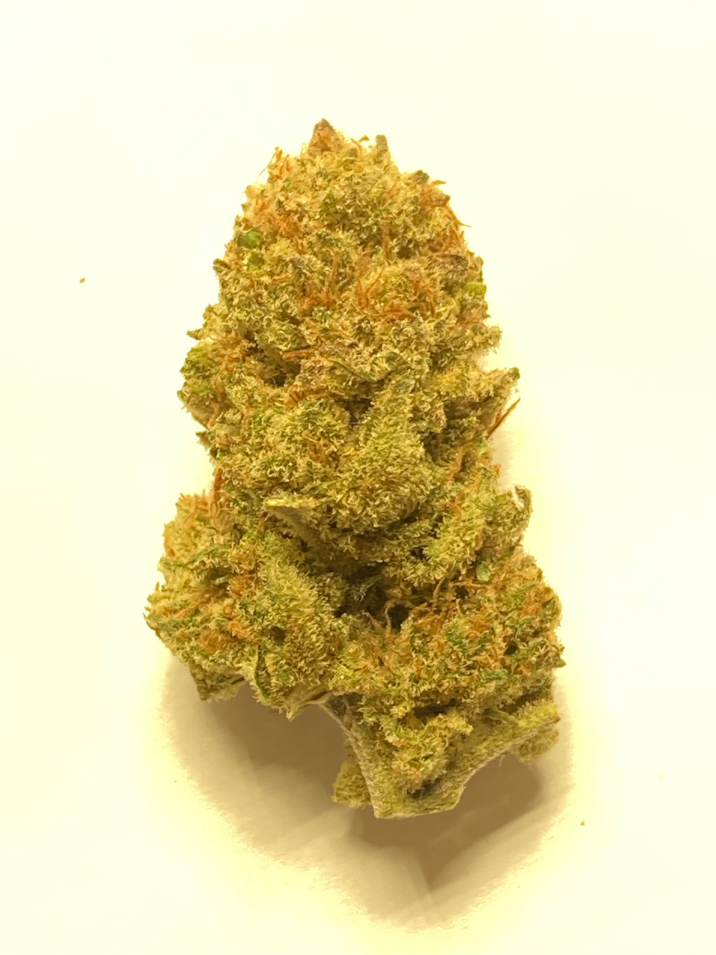 NOVITA' - WEDDING CAKE indoor by Zambros Farm