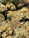 MINI BUD  greenhouse di BLUEBERRY in OFFERTA