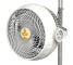 Secret Jardin VENTILATORE MONKEY FAN MF16 BB R2.0