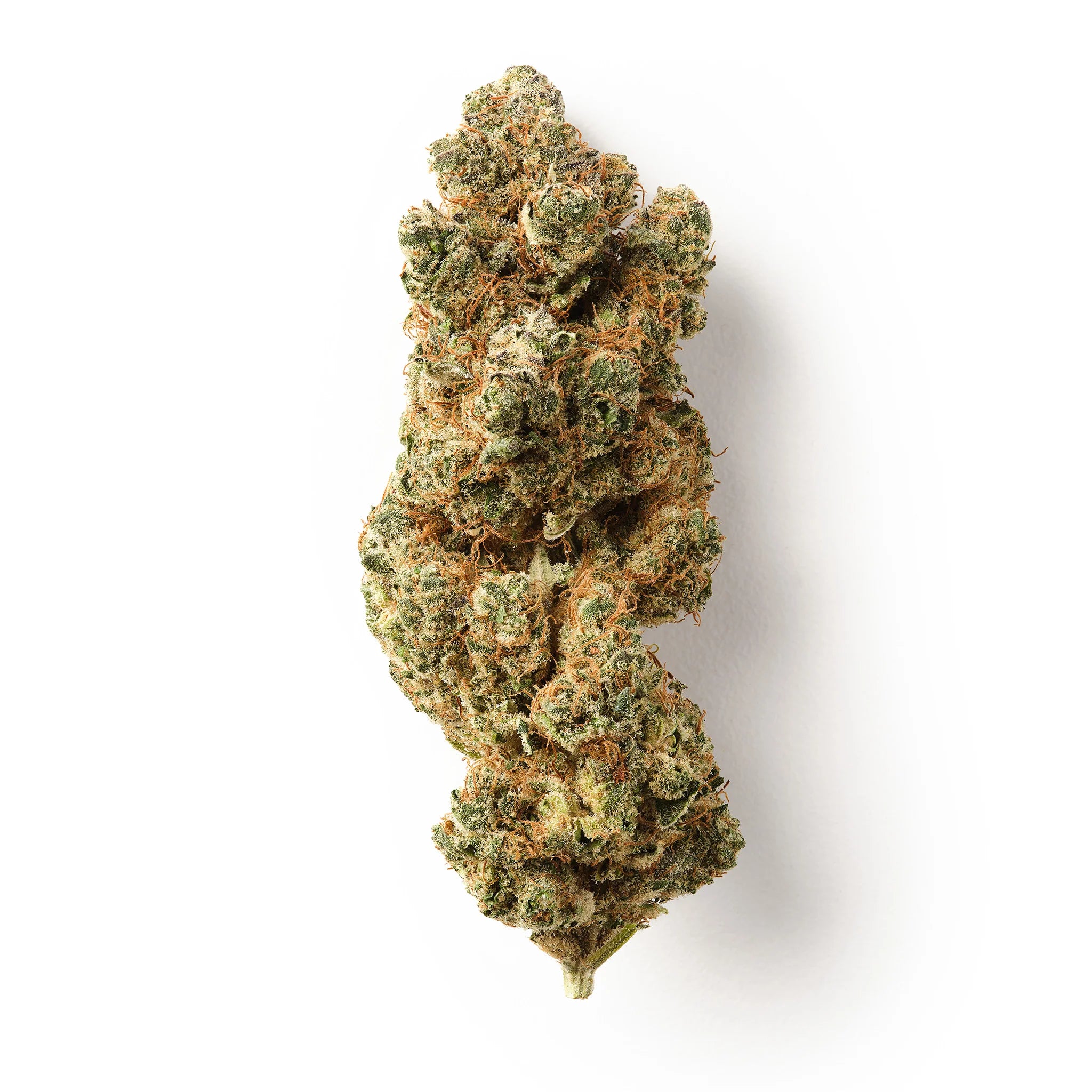 Strawberry Payton CBD greenhouse
