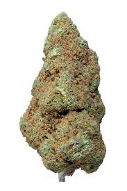 GORILLA MANDARINE  CBD Indoor