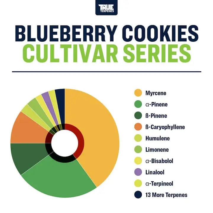 TRUE TERPENES terpeni BLUEBERRY COOKIES