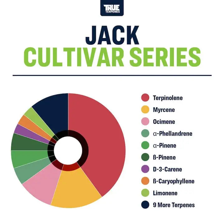 TRUE TERPENES terpeni JACK