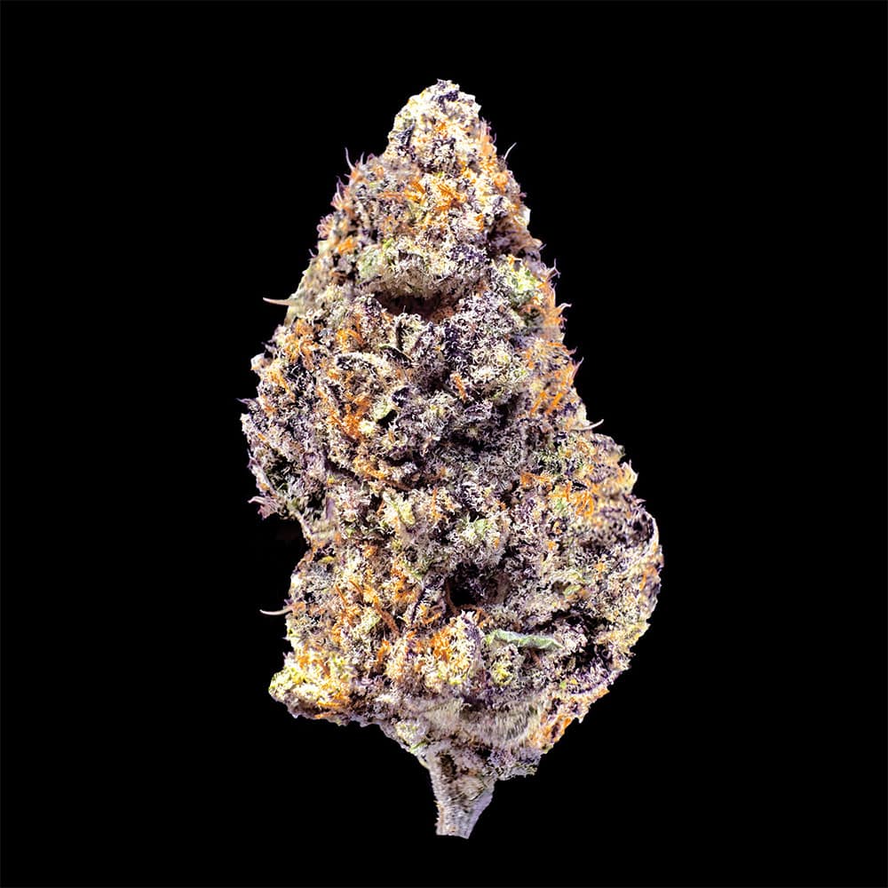 CALI RUNTZ CBD IDROPONICA INDOOR