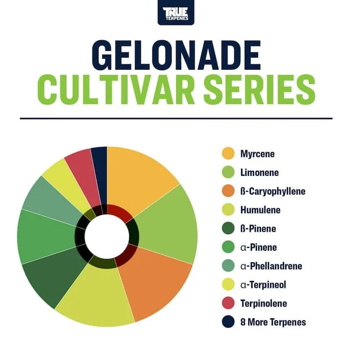 TRUE TERPENES terpeni GELONADE
