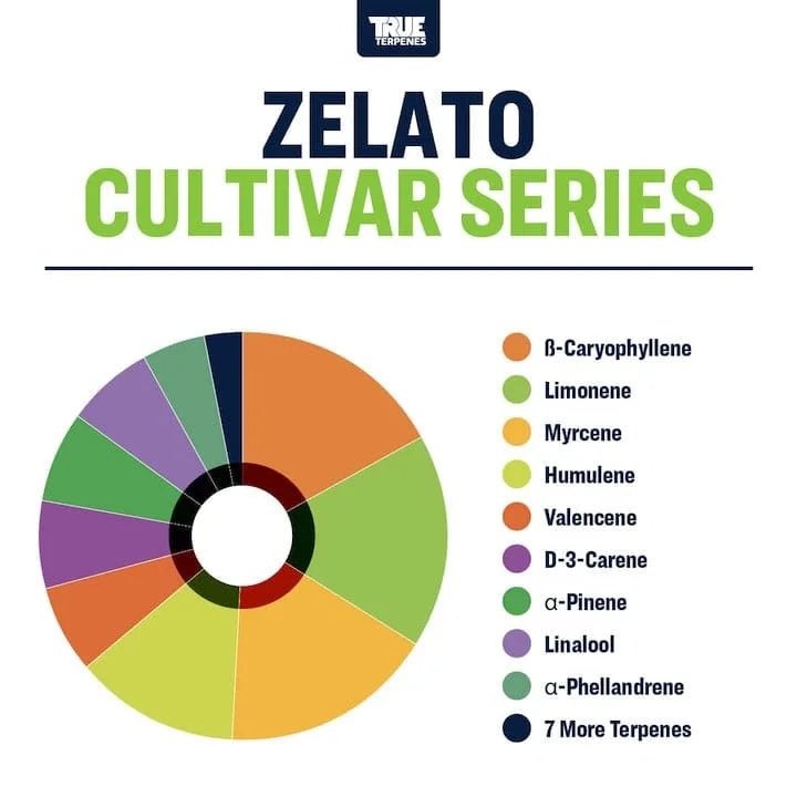 TRUE TERPENES terpeni ZELATO