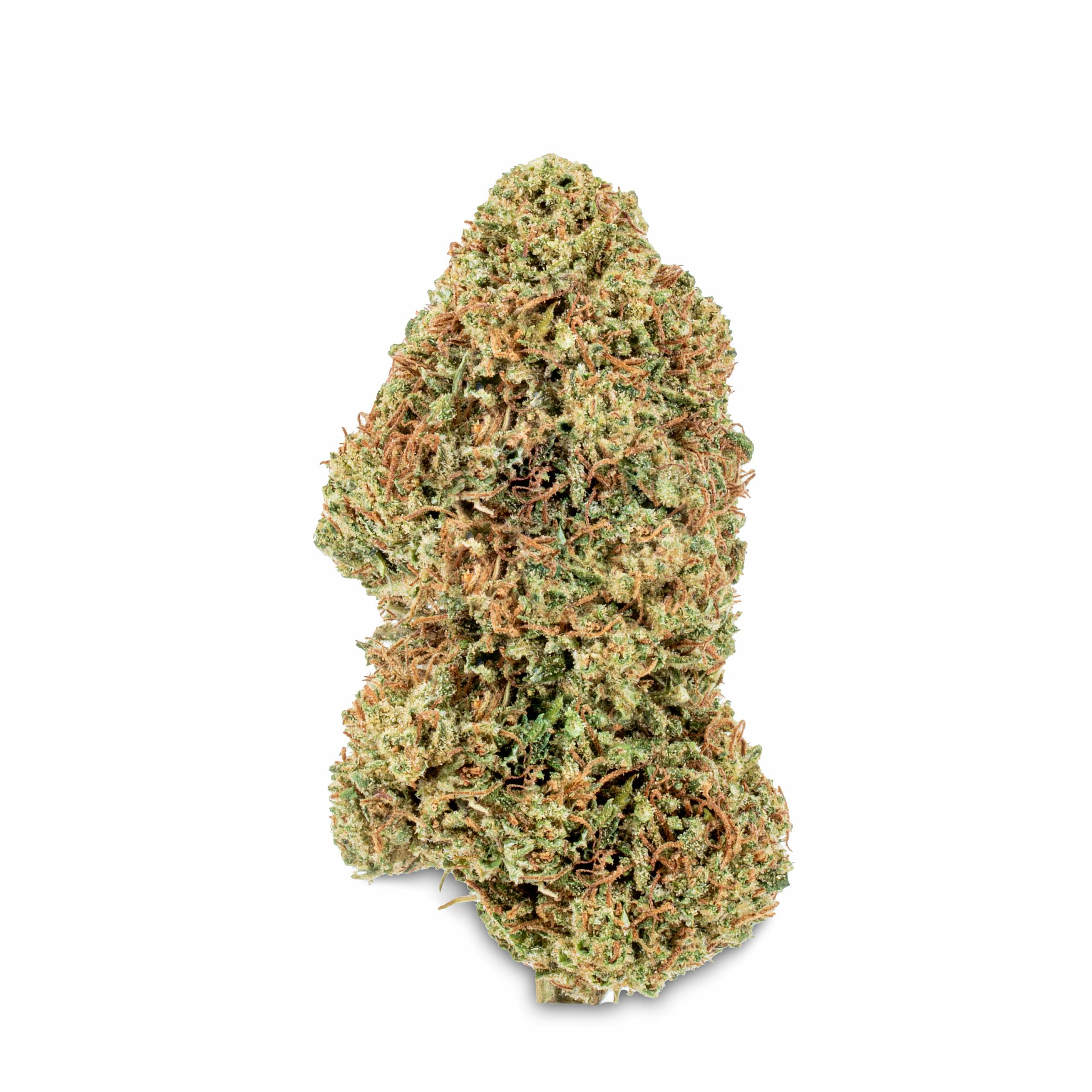 Fruity Milk CBD indoor
