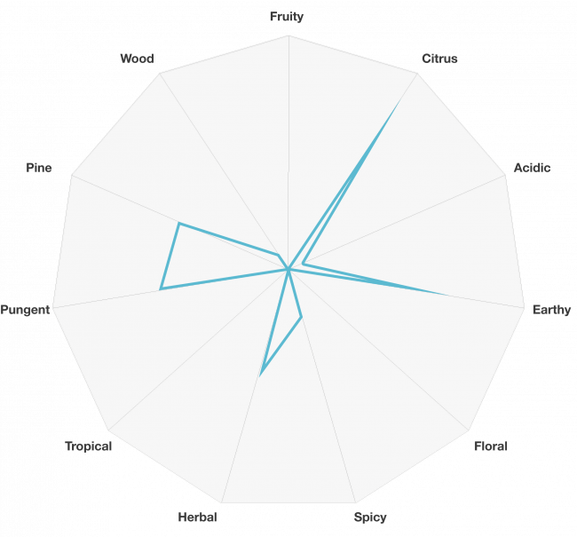 EYBNA terpeni PURE TERPENES line AMNESIA HAZE - The Haze Family