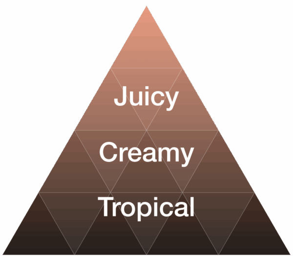 EYBNA terpeni ENHANCER LINE line FUZZY PEACH