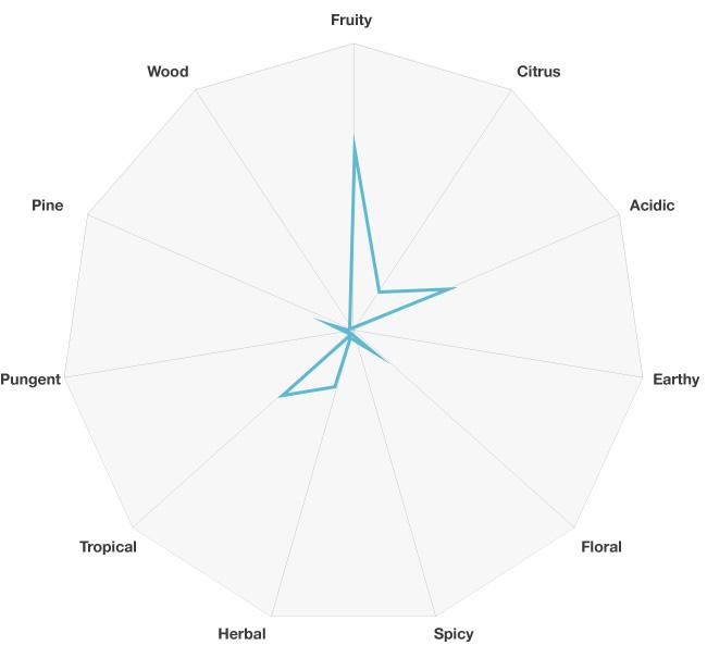 EYBNA terpeni PURE TERPENES line DUTCH TREAT HAZE - The Haze Family