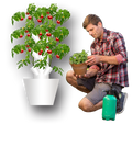 TORRE EOLIANA il tuo orto verticale idroponico indoor outdoor greenhouse