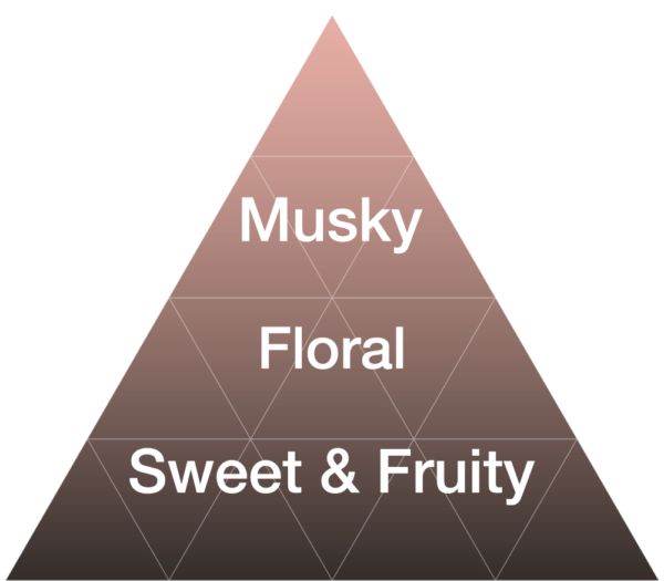 EYBNA terpeni ENHANCER LINE line - MELON LYCHEE