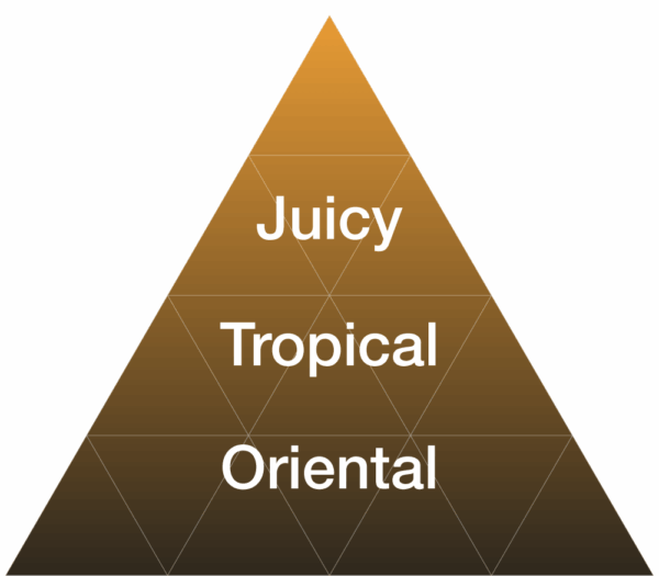 EYBNA terpeni ENHANCER LINE line - AFRICAN MANGO