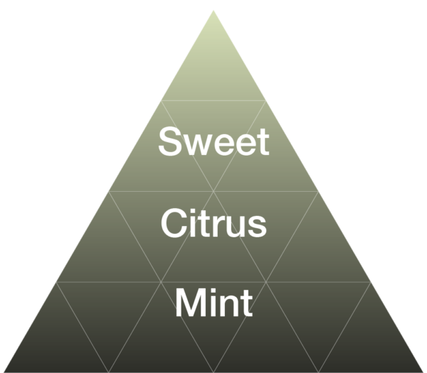 EYBNA terpeni ENHANCER LINE line MOJITO