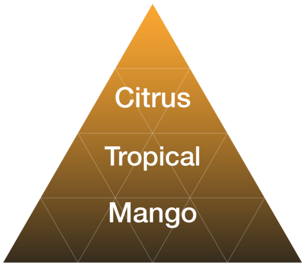 EYBNA terpeni ENHANCER LINE line - MANGO JANGO