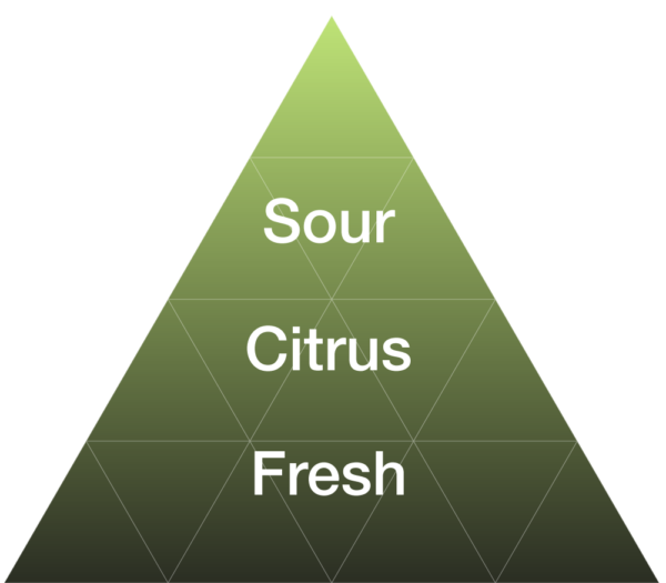 EYBNA terpeni ENHANCER LINE line - SOUR NOTE