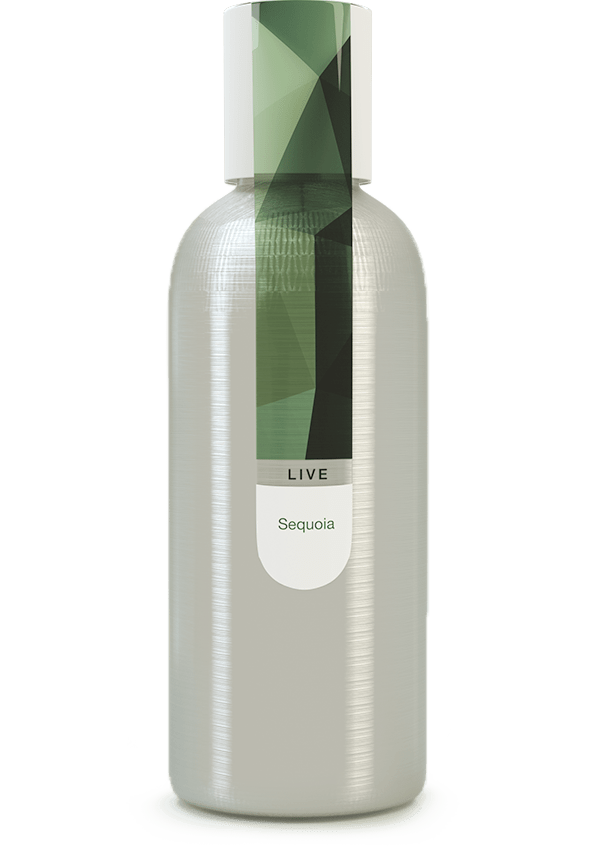 EYBNA terpeni LIVE LINE line SEQUOIA