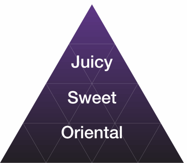 EYBNA terpeni ENHANCER LINE line - PURPLE GRAPE